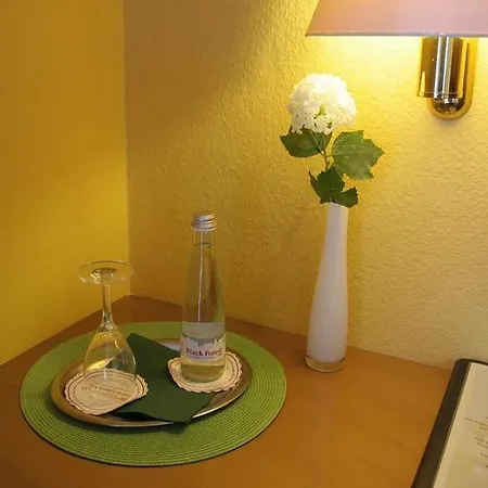 & Restaurant Weinberg Hotel Baden-Baden